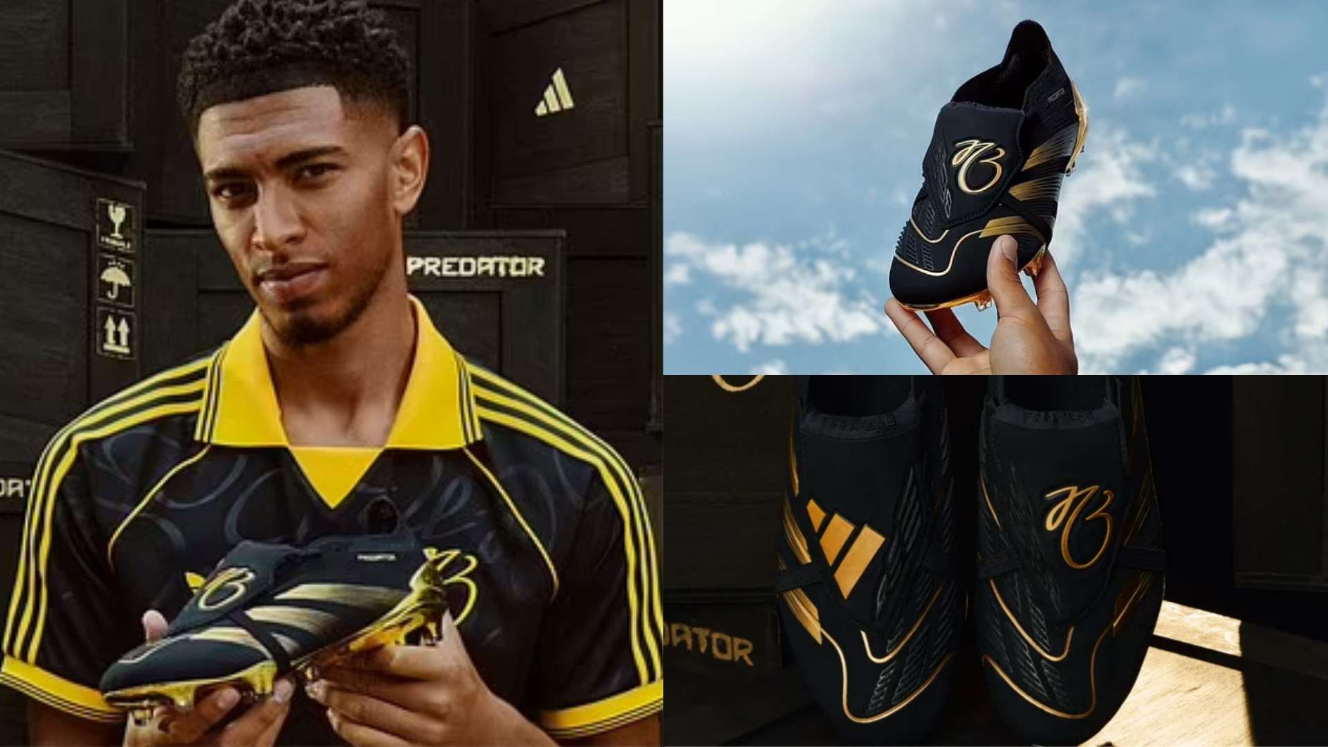 每一项重大 每一项重大