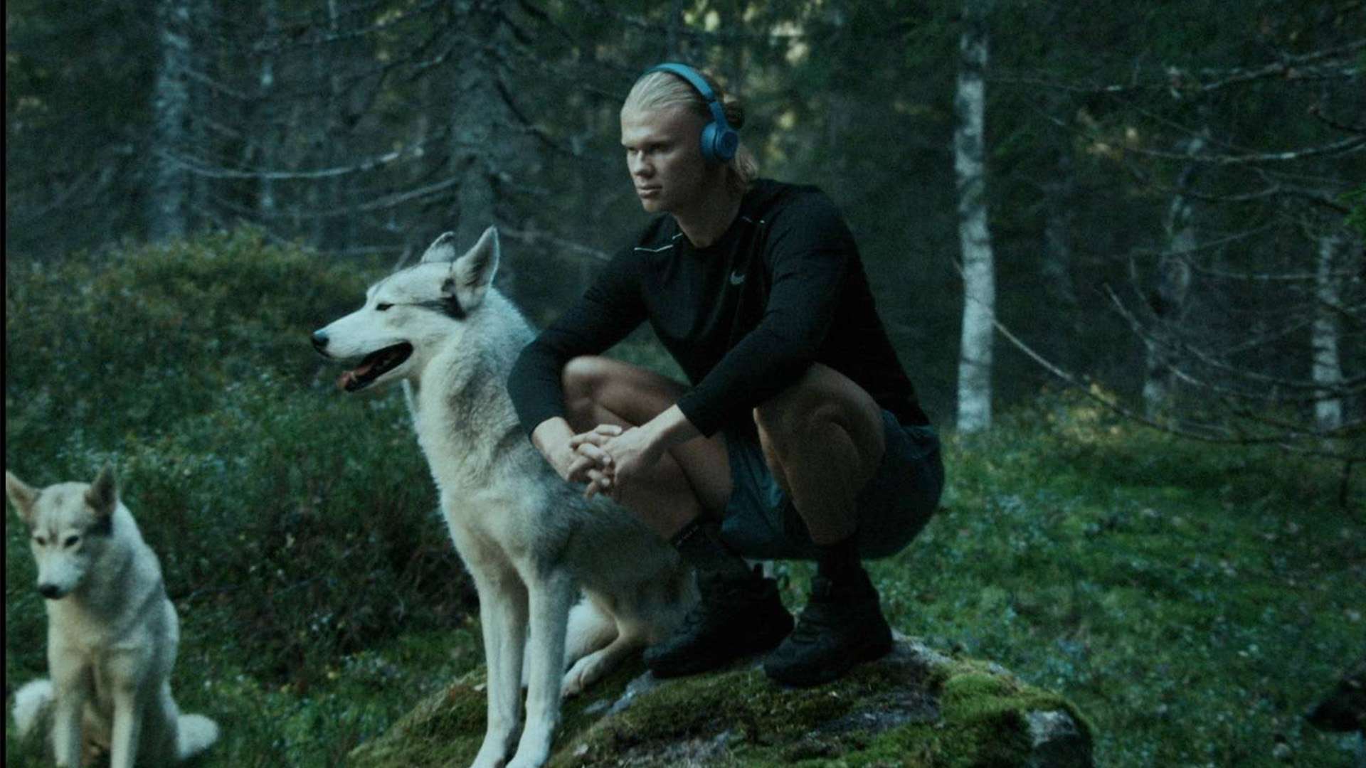 间接赞美 间接赞美